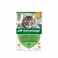 Advantage 40 Chat/Lapin De Moins De 4 Kg