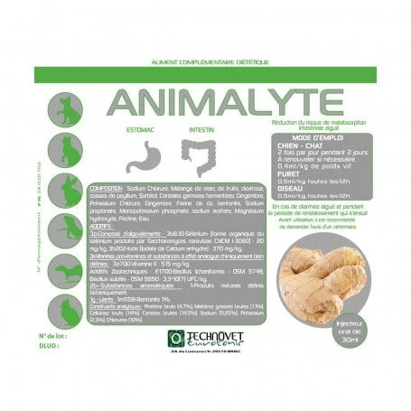 Animalyte 1 Animalyte