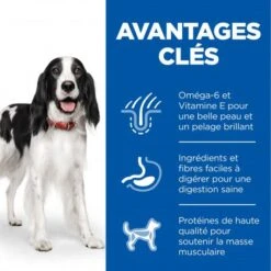 Canine Adult Boeuf Boîte -Animal De Compagnie canine adult boeuf boite 3