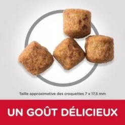 Canine Adult Light Large Poulet Value Pack 5 Canine Adult Light Large Poulet Value Pack -Animal De Compagnie canine adult light large poulet 2