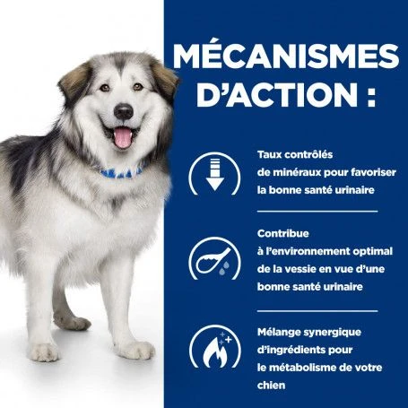 C/d Urinary Multicare+Metabolic Croquettes Pour Chien 5 C/d Urinary Multicare+Metabolic Croquettes Pour Chien – Image 5
