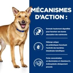 I/D Digestive Mijotés Pour Chien Et Chiot Poulet & Légumes -Animal De Compagnie canine i d digestive care activ biomemij pou legu boite 4