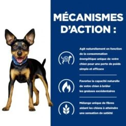 Metabolic Poulet Mijotés Pour Chien Poulet & Légumes -Animal De Compagnie canine metabolic mijotes poulet legumes boite 4