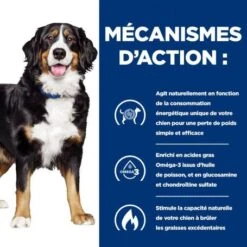 J/D Metabolic+Mobility Croquettes Pour Chien Au Poulet -Animal De Compagnie canine metabolicmobility 4