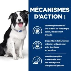 T/d Dental Croquettes Pour Chien Au Poulet -Animal De Compagnie canine t d 4