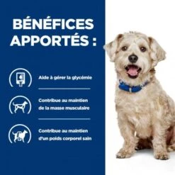 W/D Diabetes Croquettes Pour Chien Au Poulet -Animal De Compagnie canine w d poulet 2