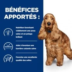 Z/d Food Sensitivities Boîte Pour Chien -Animal De Compagnie canine z d food sensitivities activ biome boite 3