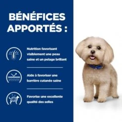 Z/D Food Sensitivities Mini Croquettes Pour Petit Chien -Animal De Compagnie canine z d food sensitivities activ biome mini 2