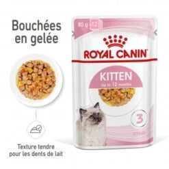 Cat Kitten Royal Canin Emincé En Gelée Sachet Repas 11 Cat Kitten Royal Canin Emincé En Gelée Sachet Repas -Animal De Compagnie cat kitten royal canin emince en gelee sachet repas 2