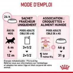 Cat Kitten Royal Canin Emincé En Gelée Sachet Repas 12 Cat Kitten Royal Canin Emincé En Gelée Sachet Repas -Animal De Compagnie cat kitten royal canin emince en gelee sachet repas 3