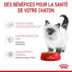 Cat Kitten Royal Canin Emincé En Gelée Sachet Repas 15 Cat Kitten Royal Canin Emincé En Gelée Sachet Repas -Animal De Compagnie cat kitten royal canin emince en gelee sachet repas 6