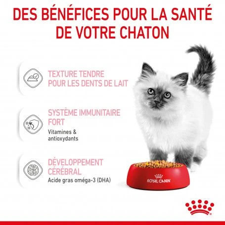 Cat Kitten Royal Canin Emincé En Gelée Sachet Repas 7 Cat Kitten Royal Canin Emincé En Gelée Sachet Repas – Image 7