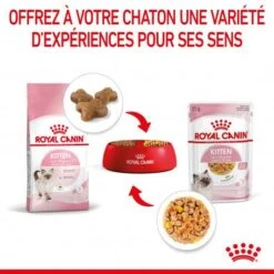 Cat Kitten Royal Canin Emincé En Gelée Sachet Repas 16 Cat Kitten Royal Canin Emincé En Gelée Sachet Repas -Animal De Compagnie cat kitten royal canin emince en gelee sachet repas 7
