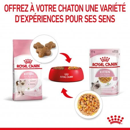 Cat Kitten Royal Canin Emincé En Gelée Sachet Repas 8 Cat Kitten Royal Canin Emincé En Gelée Sachet Repas – Image 8