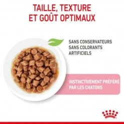Cat Kitten Stérilisé Royal Canin Emincé En Sauce Sachet Repas -Animal De Compagnie cat kitten royal canin emince en sauce sachet repas 12