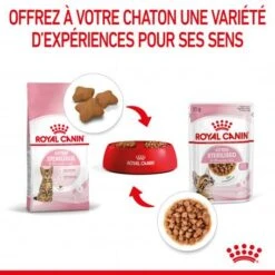 Cat Kitten Stérilisé Royal Canin Emincé En Sauce Sachet Repas -Animal De Compagnie cat kitten royal canin emince en sauce sachet repas 13
