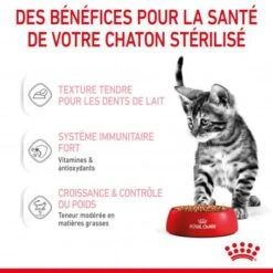 Cat Kitten Stérilisé Royal Canin Emincé En Sauce Sachet Repas -Animal De Compagnie cat kitten royal canin emince en sauce sachet repas 14