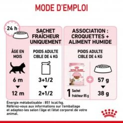 Cat Kitten Stérilisé Royal Canin Emincé En Sauce Sachet Repas -Animal De Compagnie cat kitten royal canin emince en sauce sachet repas 16