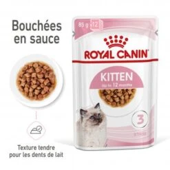 Cat Kitten Royal Canin Emincé En Sauce Sachet Repas -Animal De Compagnie cat kitten royal canin emince en sauce sachet repas 2