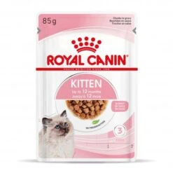 Cat Kitten Royal Canin Emincé En Sauce Sachet Repas