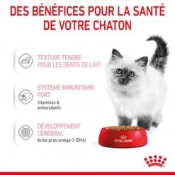 Cat Kitten Royal Canin Emincé En Sauce Sachet Repas -Animal De Compagnie cat kitten royal canin emince en sauce sachet repas 6