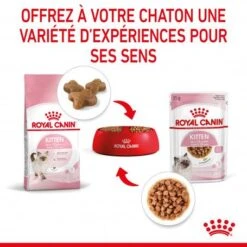 Cat Kitten Royal Canin Emincé En Sauce Sachet Repas -Animal De Compagnie cat kitten royal canin emince en sauce sachet repas 7