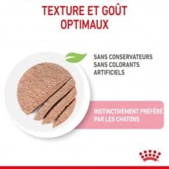 Cat Kitten Royal Canin Mousse Sachet Repas -Animal De Compagnie cat kitten royal canin mousse sachet repas 3
