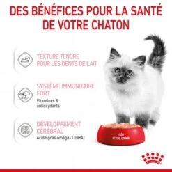 Cat Kitten Royal Canin Mousse Sachet Repas -Animal De Compagnie cat kitten royal canin mousse sachet repas 6