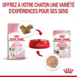 Cat Kitten Royal Canin Mousse Sachet Repas -Animal De Compagnie cat kitten royal canin mousse sachet repas 7