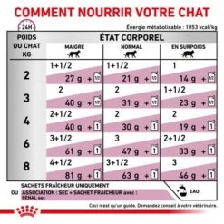 ROYAL CANIN Cat Renal Poulet Mousse Sachet Repas -Animal De Compagnie cat renal poulet mousse sachet repas 3