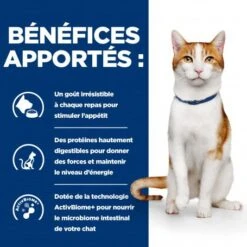 Chat On-Care Poulet -Animal De Compagnie chat on care poulet 3