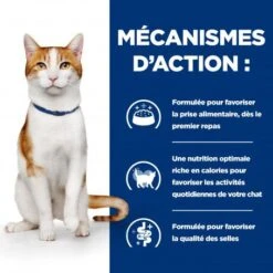 Chat On-Care Poulet -Animal De Compagnie chat on care poulet 4