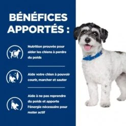 J/d Metabolic+Mobility Mini Croquettes Pour Petit Chien Au Poulet -Animal De Compagnie chien j d metabolicmobility mini poulet 2