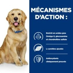 Chien J/d Mobility Reduced Calorie 11 Chien J/d Mobility Reduced Calorie -Animal De Compagnie chien j d mobility reduced calorie 3