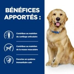 Chien J/d Mobility Reduced Calorie 12 Chien J/d Mobility Reduced Calorie -Animal De Compagnie chien j d mobility reduced calorie 4