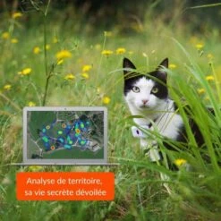 Materiel Collier GPS Weenect Cats 2 Pour Chat 15 Materiel Collier GPS Weenect Cats 2 Pour Chat -Animal De Compagnie collier gps weenect cats 2 pour chat 4