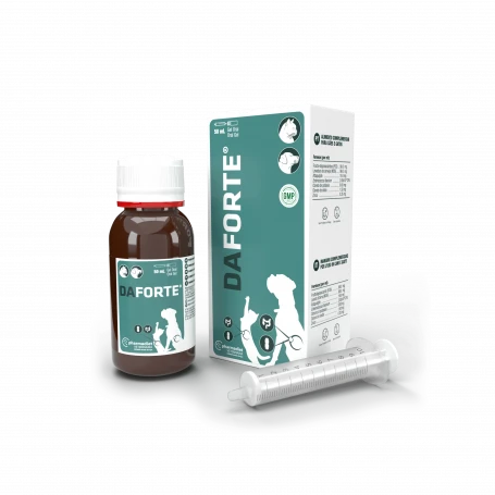 Daforte 2 Daforte – Image 2