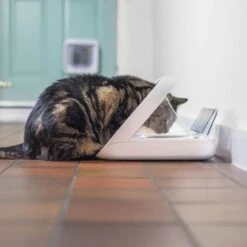 Materiel Distributeur Automatique De Nourriture SureFeed Connect -Animal De Compagnie distributeur automatique de nourriture surefeed connect 5