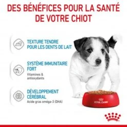 ROYAL CANIN Dog Puppy Mini Sachet Repas -Animal De Compagnie dog puppy mini sachet repas 4