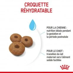 ROYAL CANIN Dog Starter Mother & Babydog Maxi -Animal De Compagnie dog starter mother babydog maxi 2