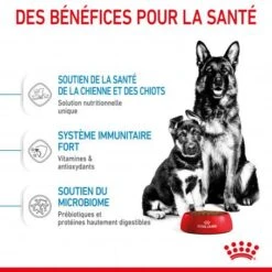 ROYAL CANIN Dog Starter Mother & Babydog Maxi -Animal De Compagnie dog starter mother babydog maxi 4
