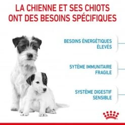 ROYAL CANIN Dog Starter Mother & Babydog Mini -Animal De Compagnie dog starter mother babydog mini 3