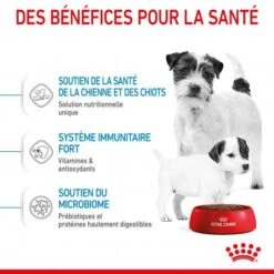 ROYAL CANIN Dog Starter Mother & Babydog Mini -Animal De Compagnie dog starter mother babydog mini 4