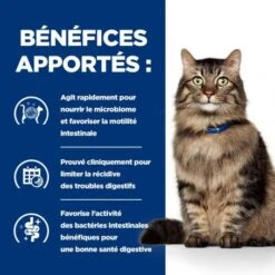 Gastrointestinal Biome Mijotés Pour Chat Poulet & Légumes 11 Gastrointestinal Biome Mijotés Pour Chat Poulet & Légumes -Animal De Compagnie feline gastrointestinal biome mijotes poulet legumes boite 3