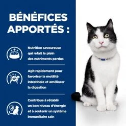 I/D Digestive Mijotés Pour Chat Et Chaton Poulet & Légumes -Animal De Compagnie feline i d digestive care activ biome boite 3