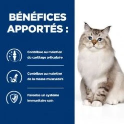 J/D Mobility Croquettes Pour Chat Au Poulet -Animal De Compagnie feline j d 2