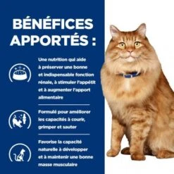 K/D J/D Kidney+Mobility Sachet Repas Pour Chat Poulet -Animal De Compagnie feline k d mobility poulet sachet repas 3
