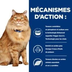 K/D J/D Kidney+Mobility Sachet Repas Pour Chat Poulet -Animal De Compagnie feline k d mobility poulet sachet repas 4