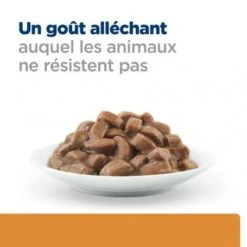 K/D Kidney Sachet Repas Pour Chat Saumon -Animal De Compagnie feline k d sachet repas saumon 5