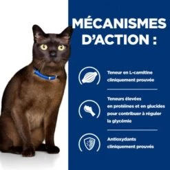 M/d Diabetes Croquettes Pour Chat Au Poulet 10 M/d Diabetes Croquettes Pour Chat Au Poulet -Animal De Compagnie feline m d 3